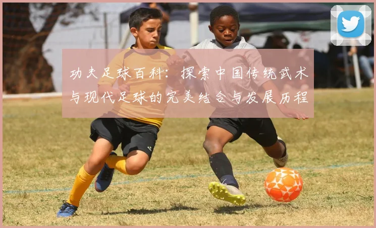 功夫足球百科：探索中国传统武术与现代足球的完美结合与发展历程