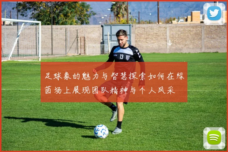 足球象的魅力与智慧探索如何在绿茵场上展现团队精神与个人风采