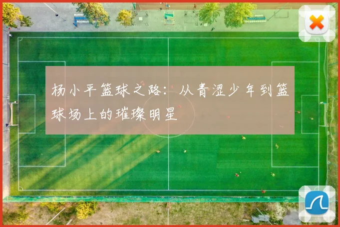 杨小平篮球之路：从青涩少年到篮球场上的璀璨明星